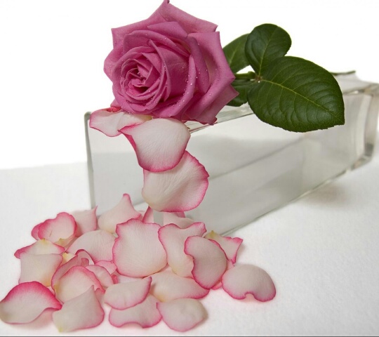 فروشنده فایل
